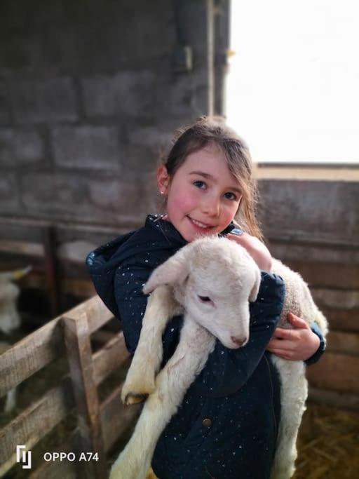Gite La Dame Au Lit Gite A La Ferme Momignies Екстер'єр фото