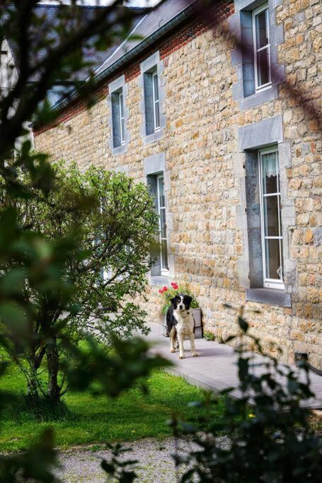 Gite La Dame Au Lit Gite A La Ferme Momignies Екстер'єр фото